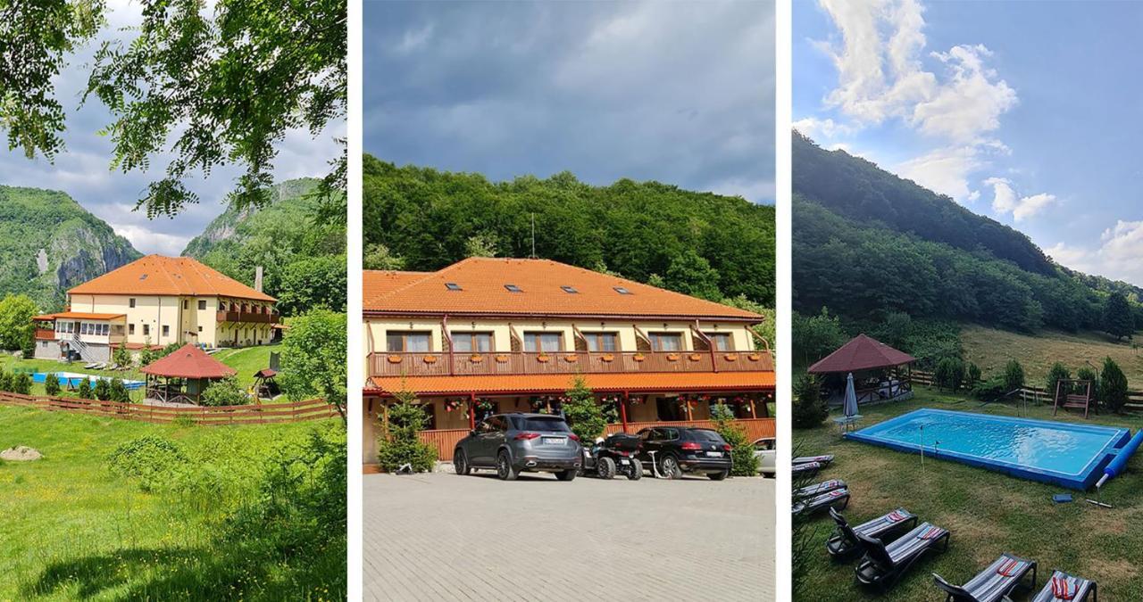 Pensiunea Castania - Pensiune Cu Piscina La Munte Polovragi Exterior foto
